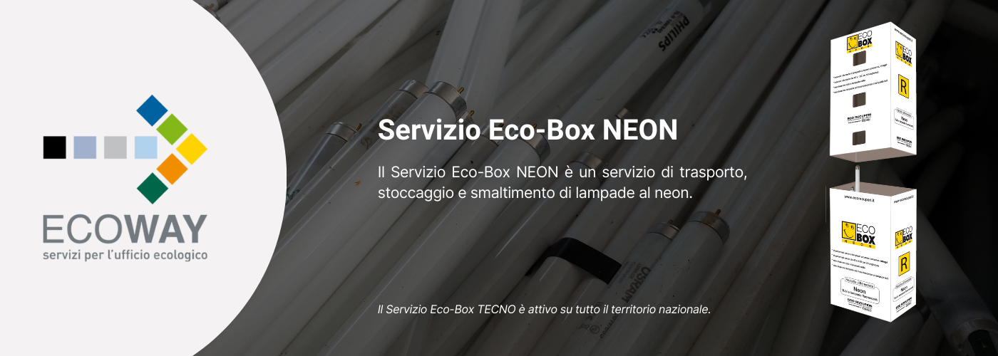 Servizio eco-box neon 1